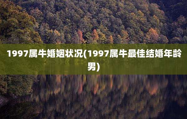 1997属牛婚姻状况(1997属牛最佳结婚年龄男)