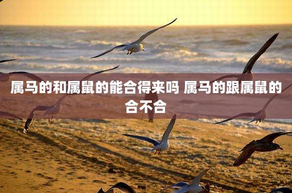 属马的和属鼠的能合得来吗 属马的跟属鼠的合不合