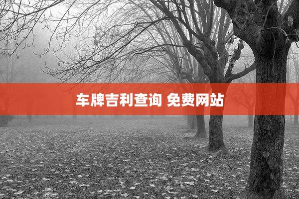 车牌吉利查询 免费网站