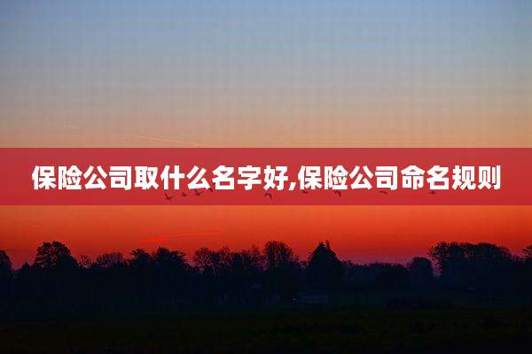 保险公司取什么名字好,保险公司命名规则
