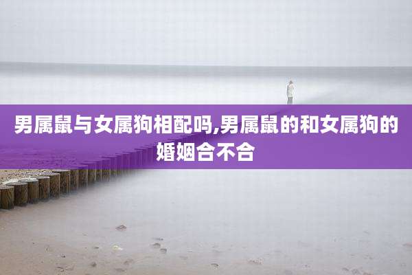 男属鼠与女属狗相配吗,男属鼠的和女属狗的婚姻合不合