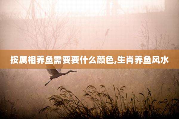 按属相养鱼需要要什么颜色,生肖养鱼风水