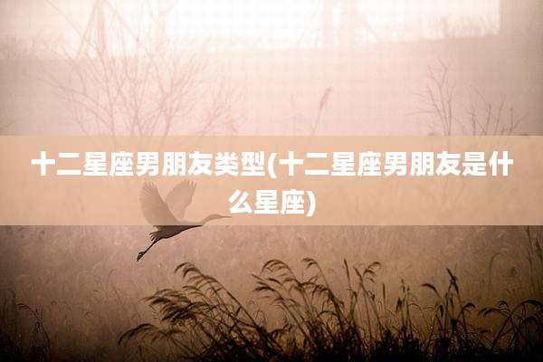 十二星座男朋友类型(十二星座男朋友是什么星座)