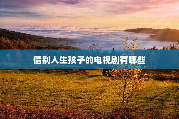 借别人生孩子的电视剧有哪些