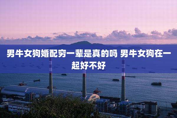 男牛女狗婚配穷一辈是真的吗 男牛女狗在一起好不好
