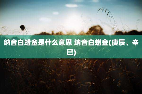 纳音白蜡金是什么意思 纳音白蜡金(庚辰、辛巳)