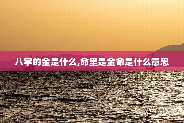 八字的金是什么,命里是金命是什么意思