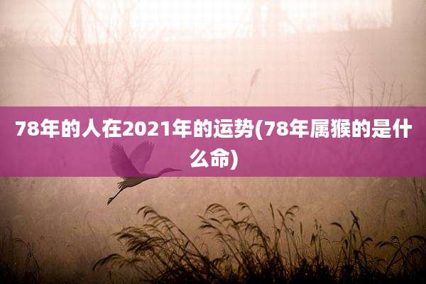 78年的人在2021年的运势(78年属猴的是什么命)