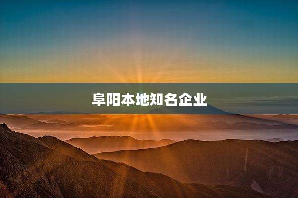 阜阳本地知名企业