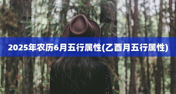 2025年农历6月五行属性(乙酉月五行属性)