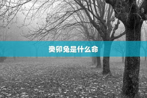 癸卯兔是什么命