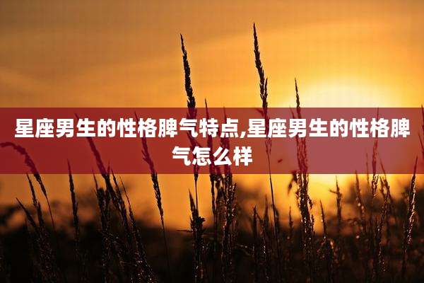 星座男生的性格脾气特点,星座男生的性格脾气怎么样