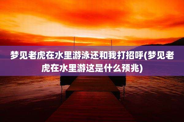 梦见老虎在水里游泳还和我打招呼(梦见老虎在水里游这是什么预兆)
