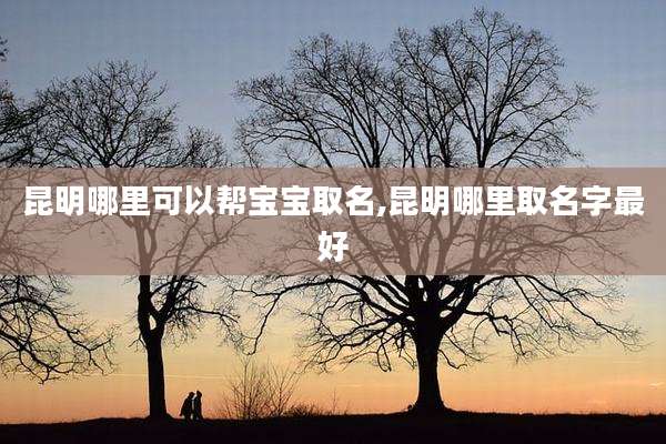 昆明哪里可以帮宝宝取名,昆明哪里取名字最好