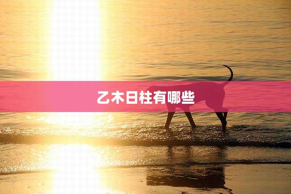 乙木日柱有哪些
