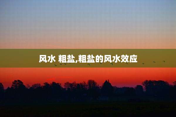 风水 粗盐,粗盐的风水效应