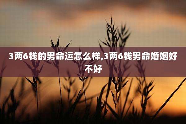 3两6钱的男命运怎么样,3两6钱男命婚姻好不好