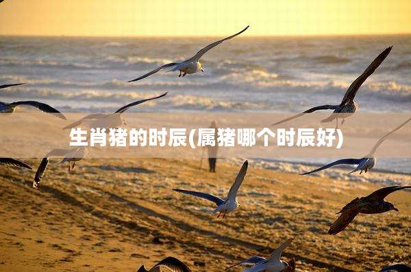 生肖猪的时辰(属猪哪个时辰好)