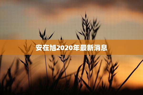 安在旭2020年最新消息