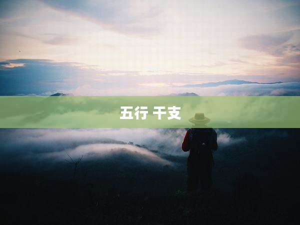 五行 干支