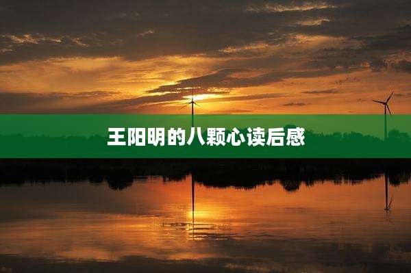 王阳明的八颗心读后感