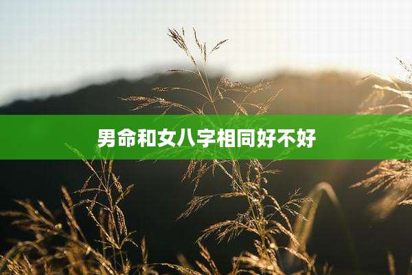 男命和女八字相同好不好