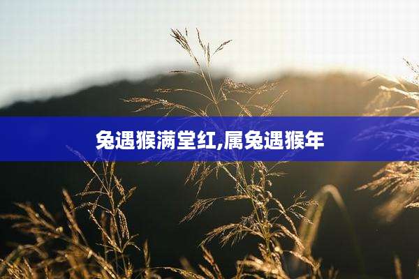 兔遇猴满堂红,属兔遇猴年