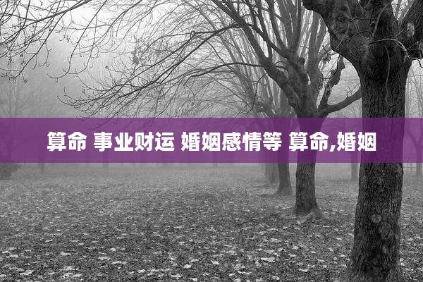 算命 事业财运 婚姻感情等 算命,婚姻