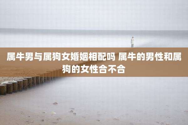 属牛男与属狗女婚姻相配吗 属牛的男性和属狗的女性合不合