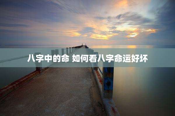 八字中的命 如何看八字命运好坏