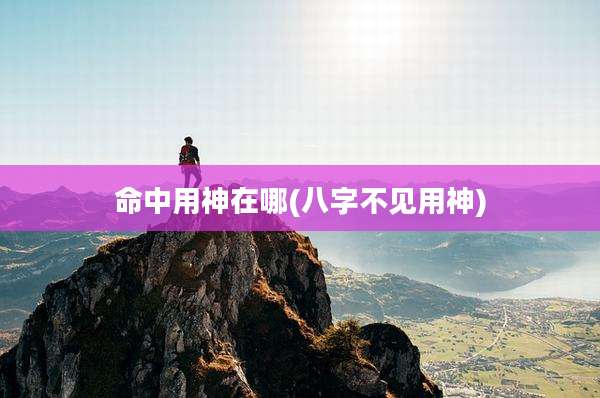 命中用神在哪(八字不见用神)