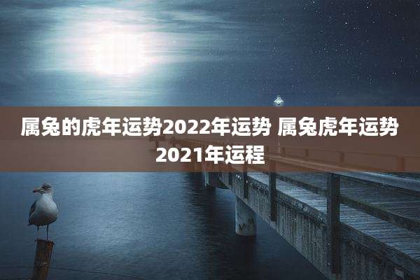 属兔的虎年运势2022年运势 属兔虎年运势2021年运程