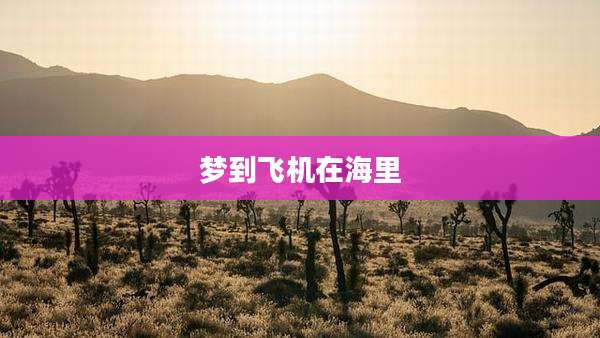 梦到飞机在海里
