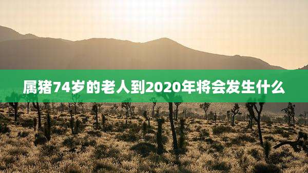 属猪74岁的老人到2020年将会发生什么