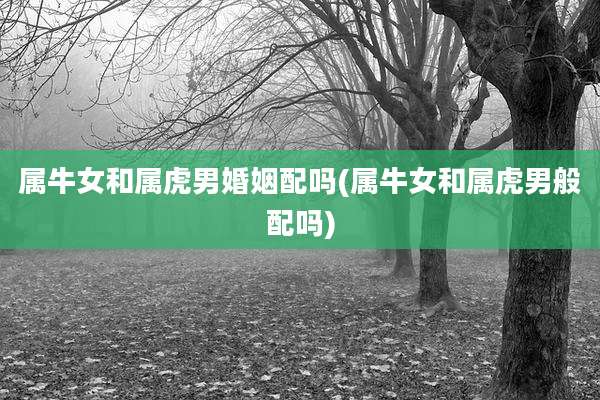 属牛女和属虎男婚姻配吗(属牛女和属虎男般配吗)
