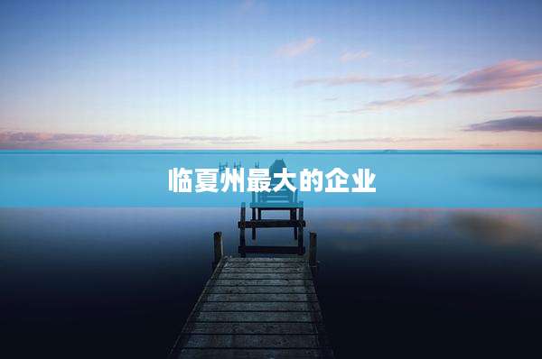 临夏州最大的企业