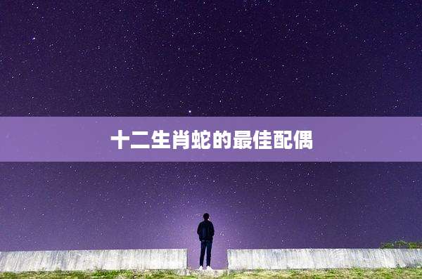 十二生肖蛇的最佳配偶