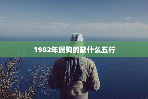 1982年属狗的缺什么五行