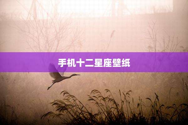 手机十二星座壁纸