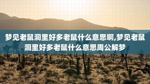 梦见老鼠洞里好多老鼠什么意思啊,梦见老鼠洞里好多老鼠什么意思周公解梦