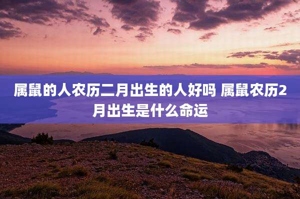 属鼠的人农历二月出生的人好吗 属鼠农历2月出生是什么命运