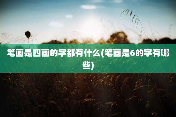 笔画是四画的字都有什么(笔画是6的字有哪些)