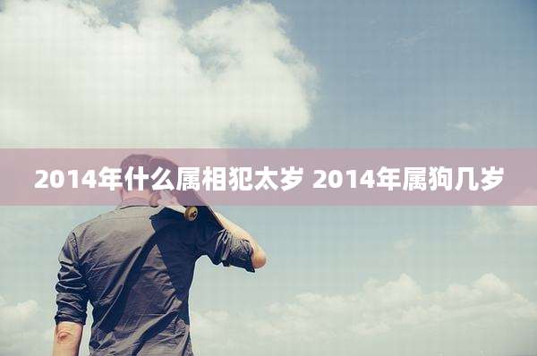 2014年什么属相犯太岁 2014年属狗几岁