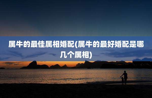 属牛的最佳属相婚配(属牛的最好婚配是哪几个属相)