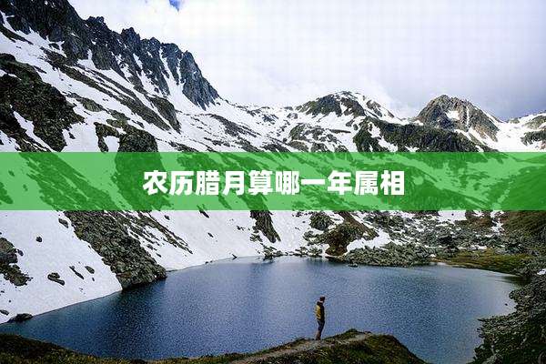 农历腊月算哪一年属相