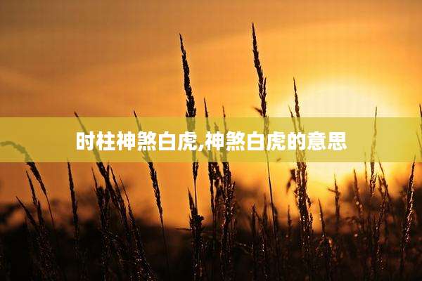 时柱神煞白虎,神煞白虎的意思