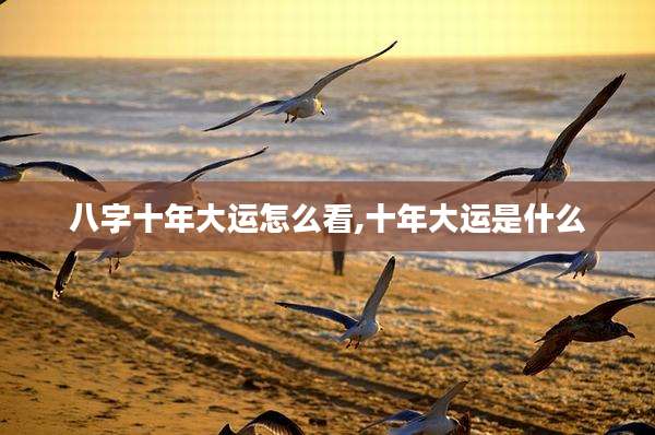 八字十年大运怎么看,十年大运是什么