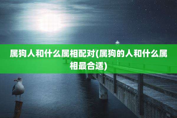 属狗人和什么属相配对(属狗的人和什么属相最合适)