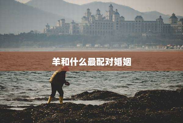 羊和什么最配对婚姻