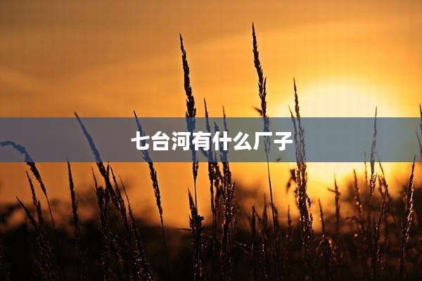七台河有什么厂子